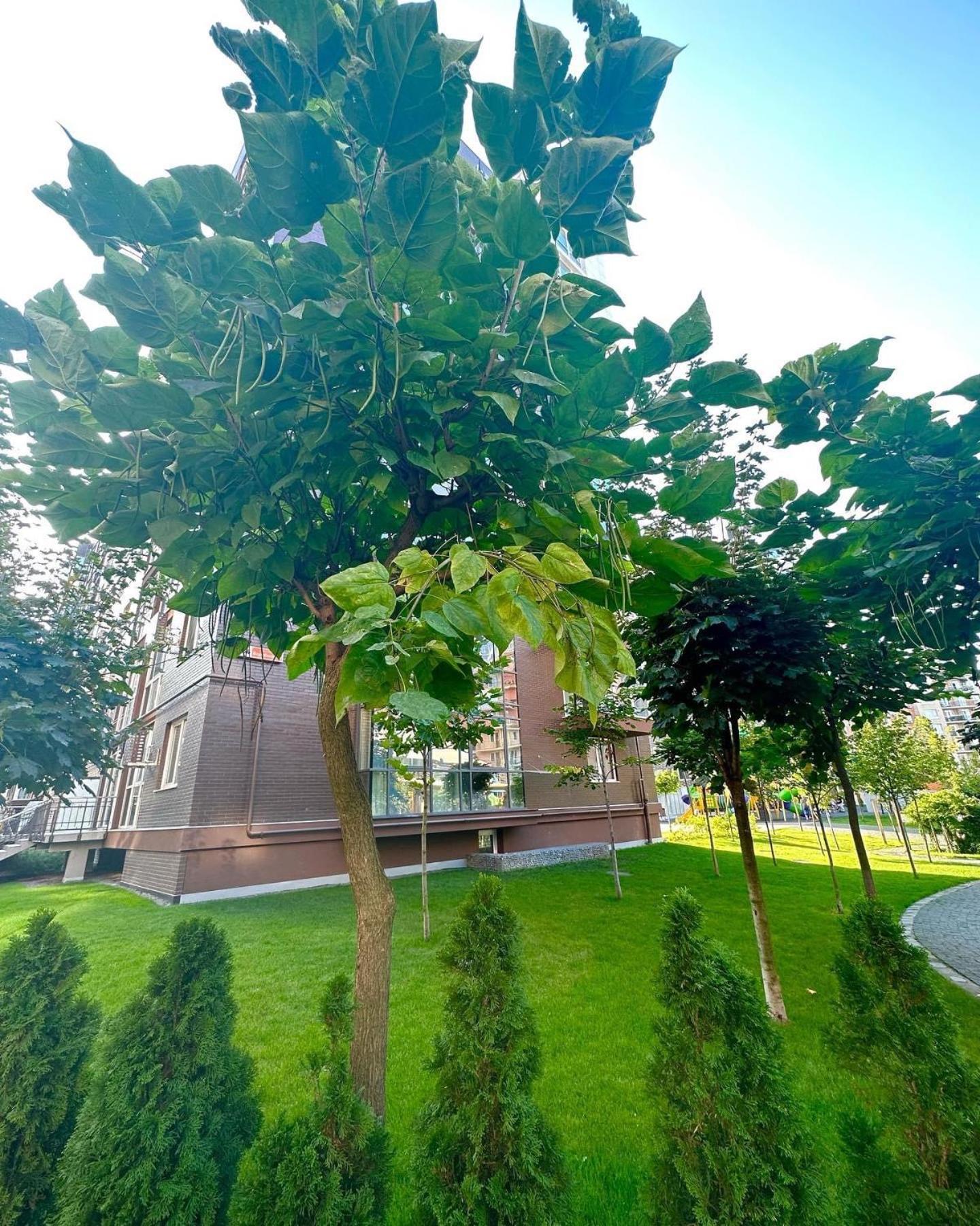 Vodogray Luxury Apartments With Underground Parking Елітний Житловий Комплекс Tsjernivsi Buitenkant foto