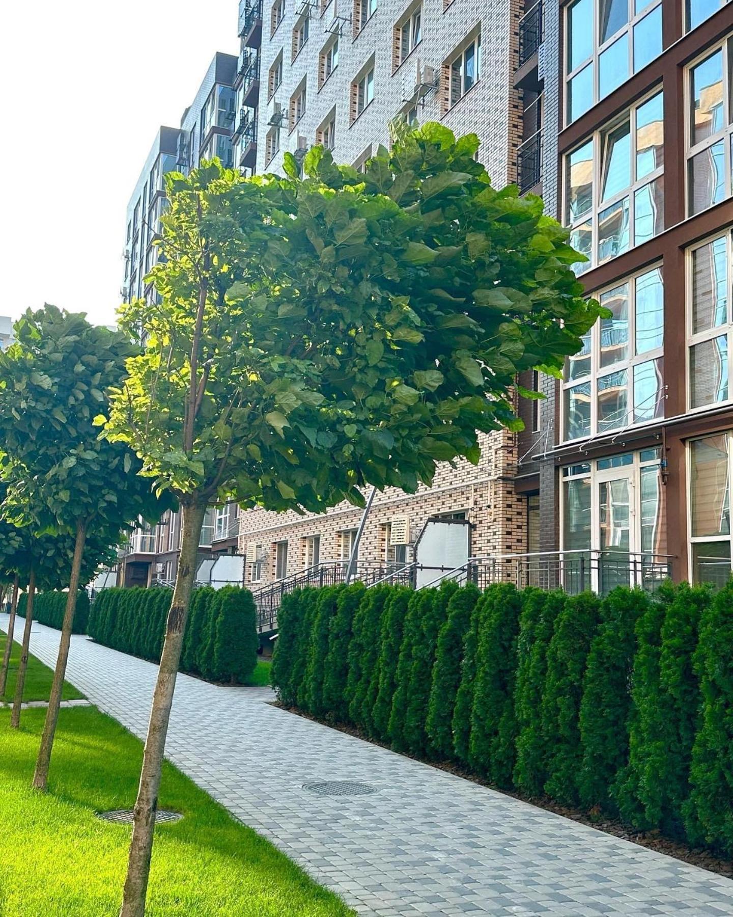 Vodogray Luxury Apartments With Underground Parking Елітний Житловий Комплекс Tsjernivsi Buitenkant foto